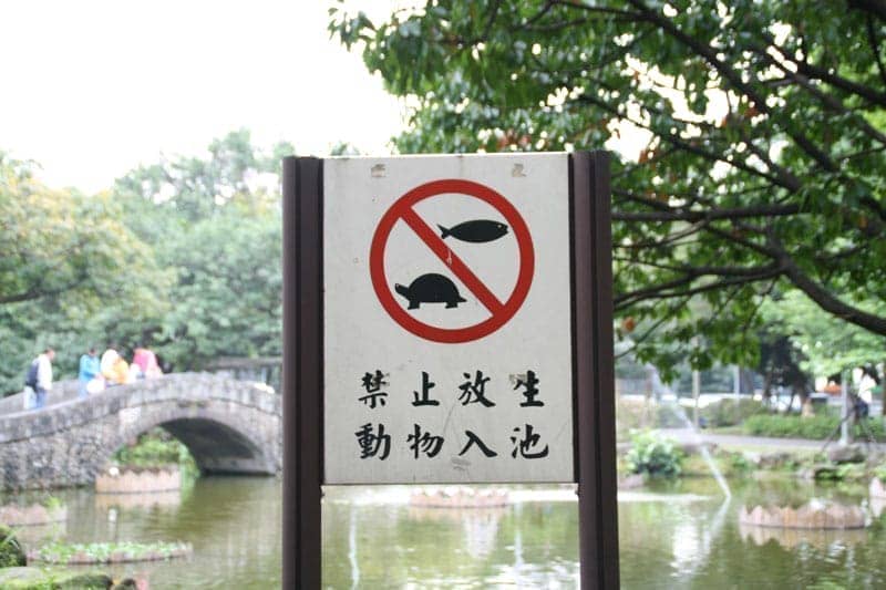 禁止放生動物入池