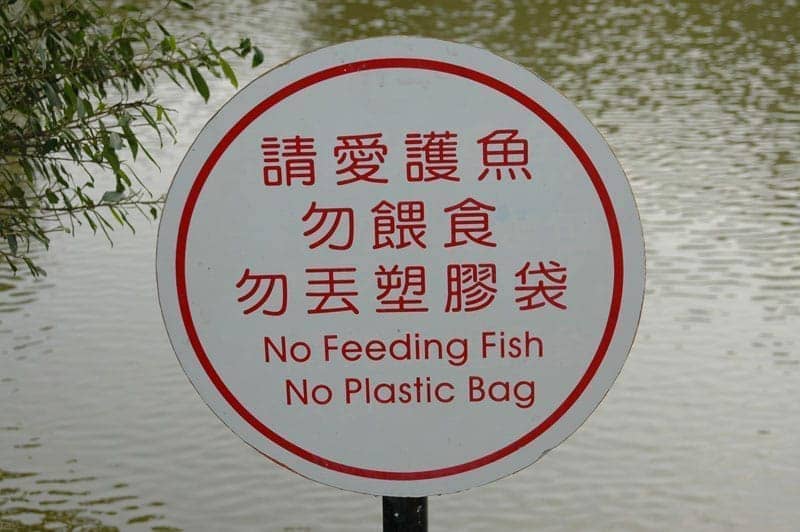 請愛護魚勿餵食勿丟塑膠袋