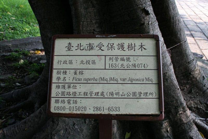 臺北市受保護樹木