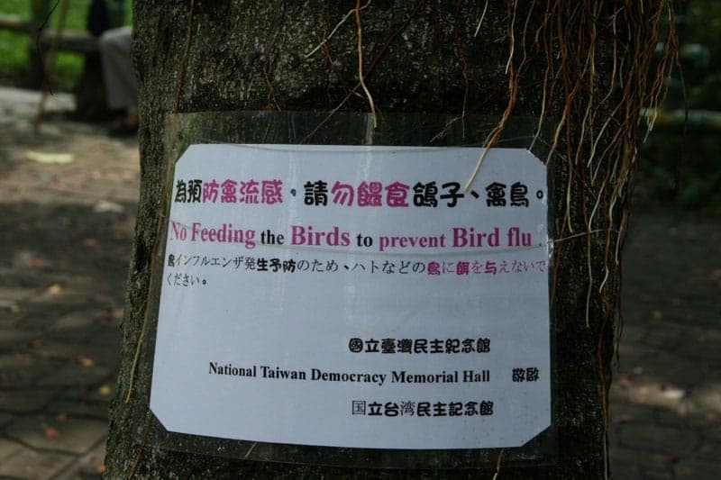 為預防禽流感，請勿餵食鴿子禽鳥
